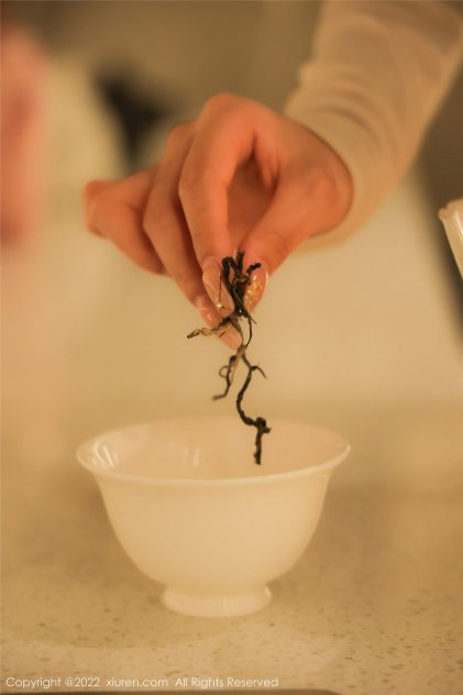 岛国污大片在线