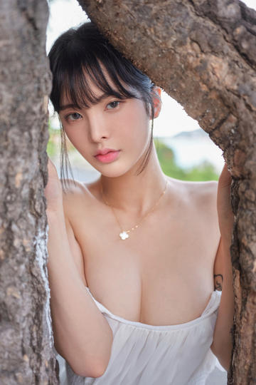 平原枪声