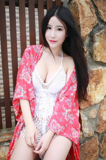 入侵之战