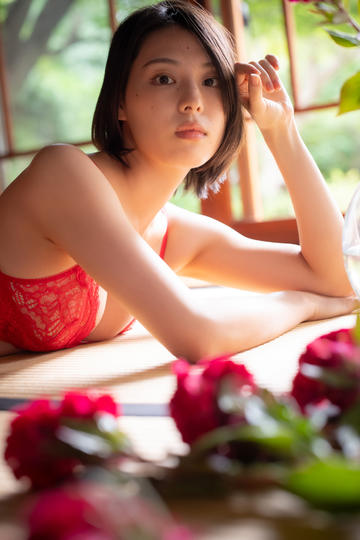 成人免费观看全部免费