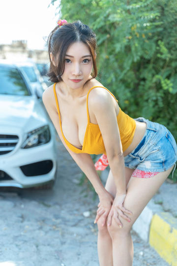 捕蝇纸